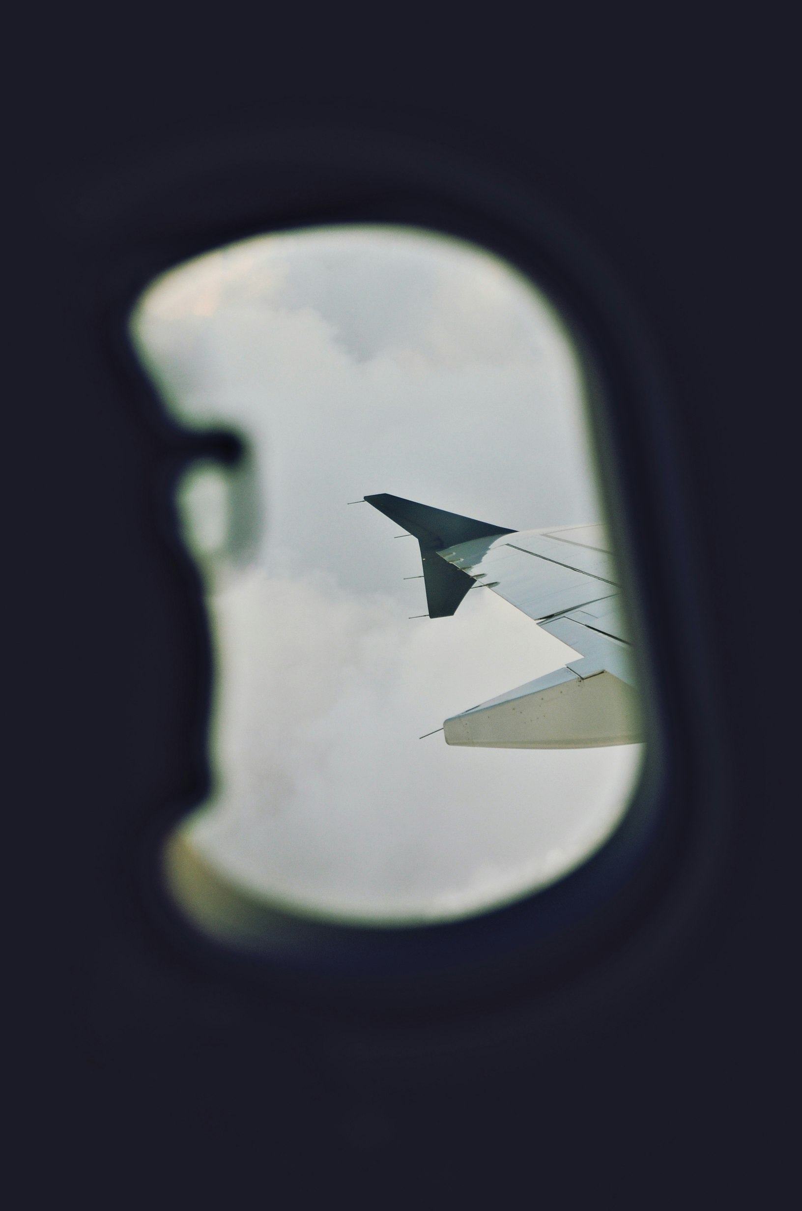 passenger view of airplane window